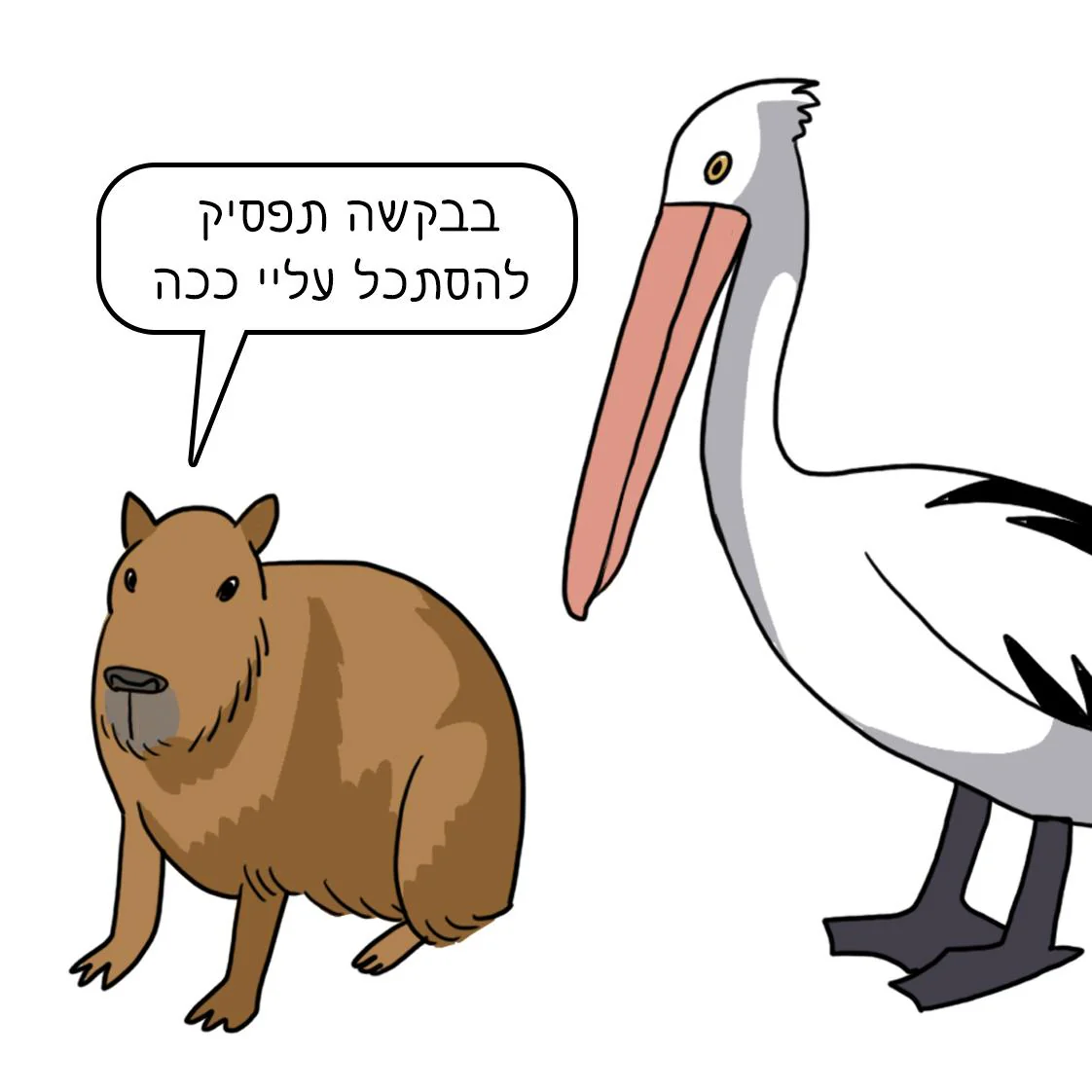 נעה כ"ץ | מגנט בבקשה תפסיק להסתכל עליי ככה
