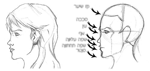 המדריך לציור קומיקס | ערן אביאני - Image 3