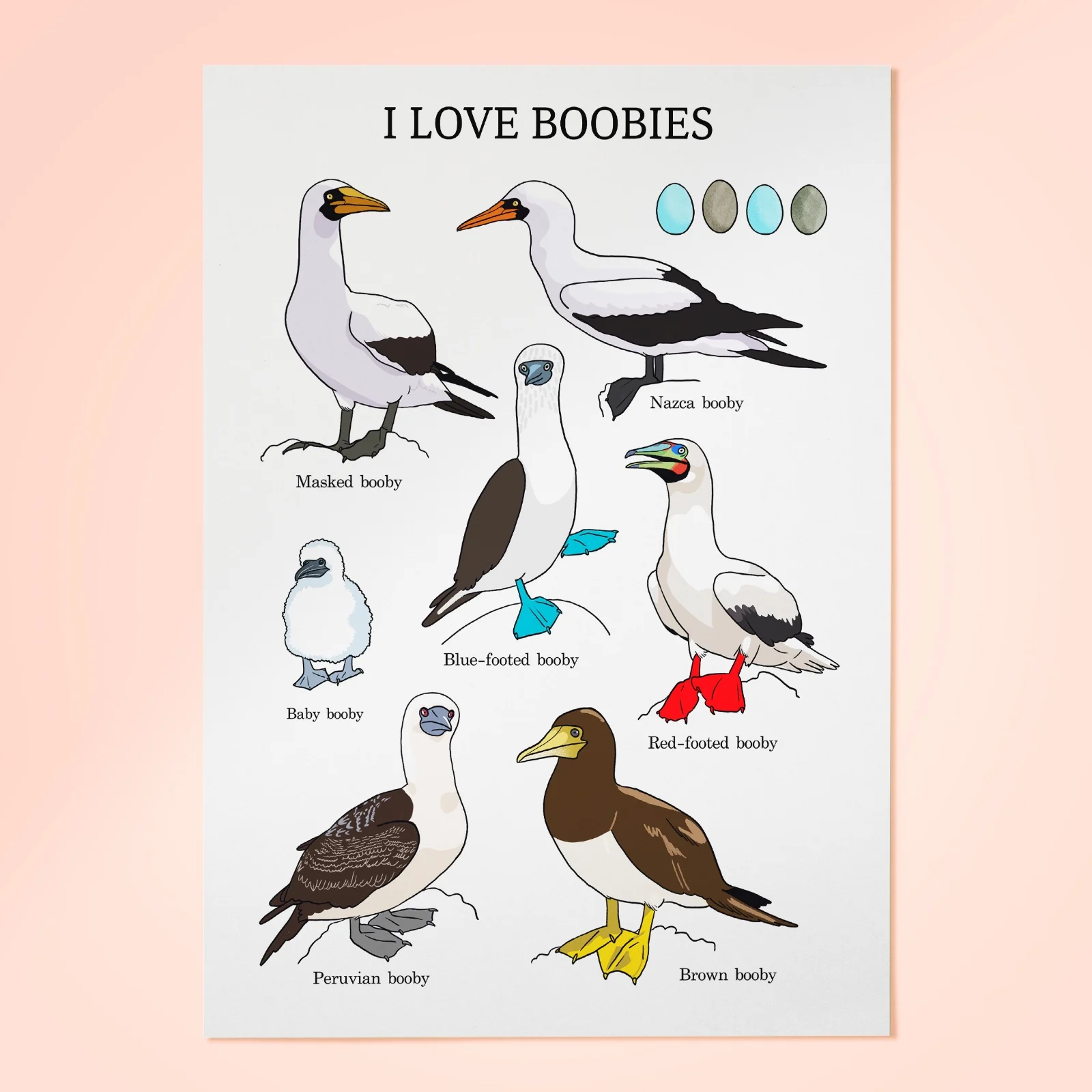 I Love Boobies נעה כ"ץ | פרינט