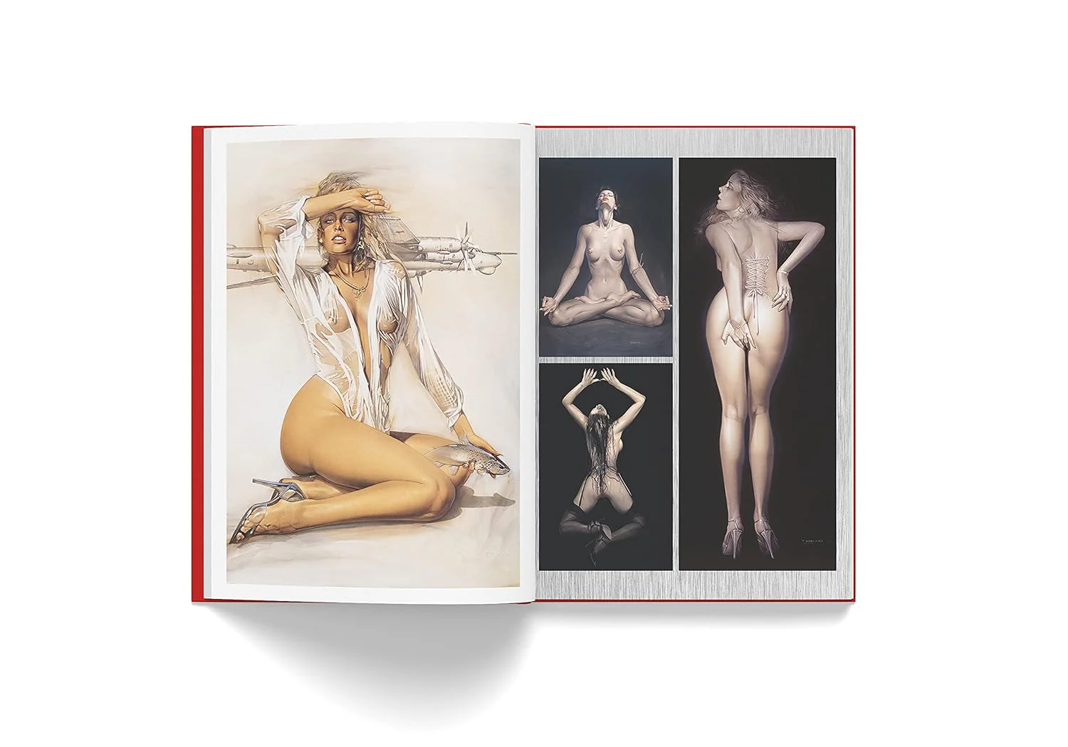 ספר אמנות 18+ | Complete Masterworks by Hajime Sorayama - Image 3