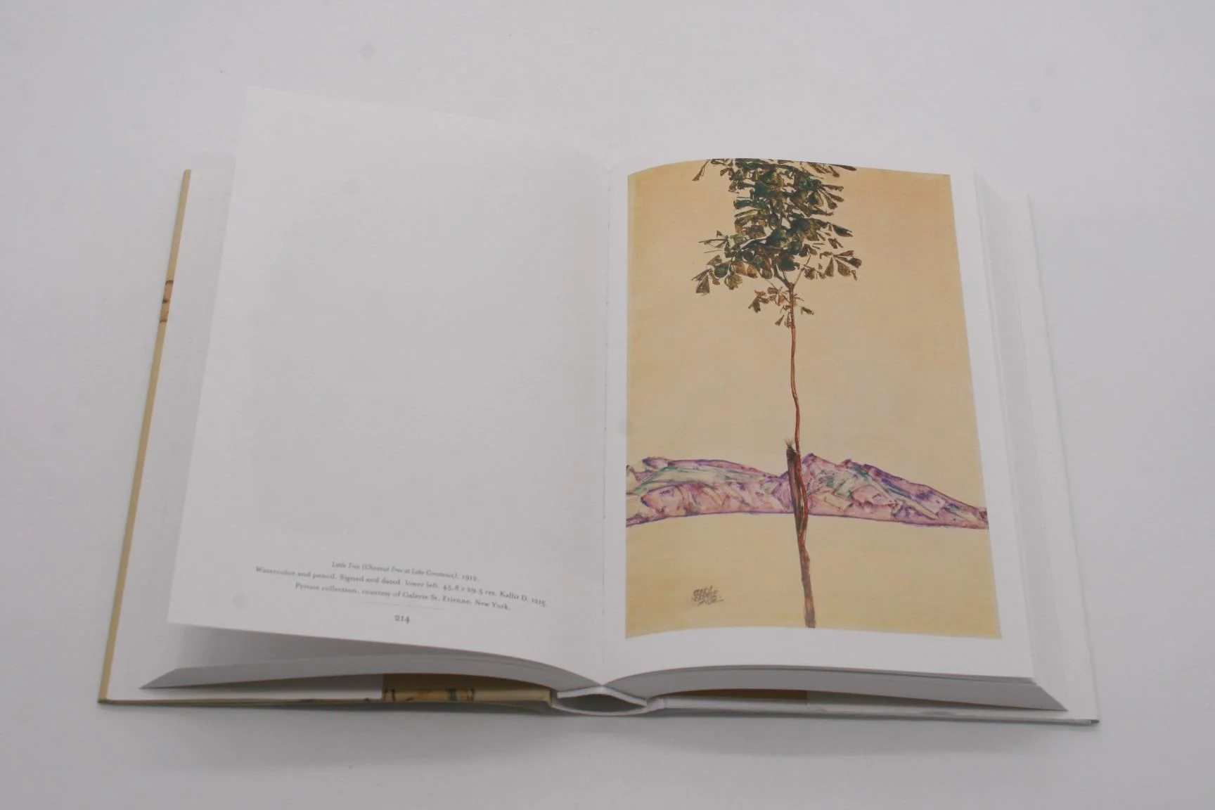 ספר אמנות | Egon Schiele: Drawings & Watercolours - Image 2