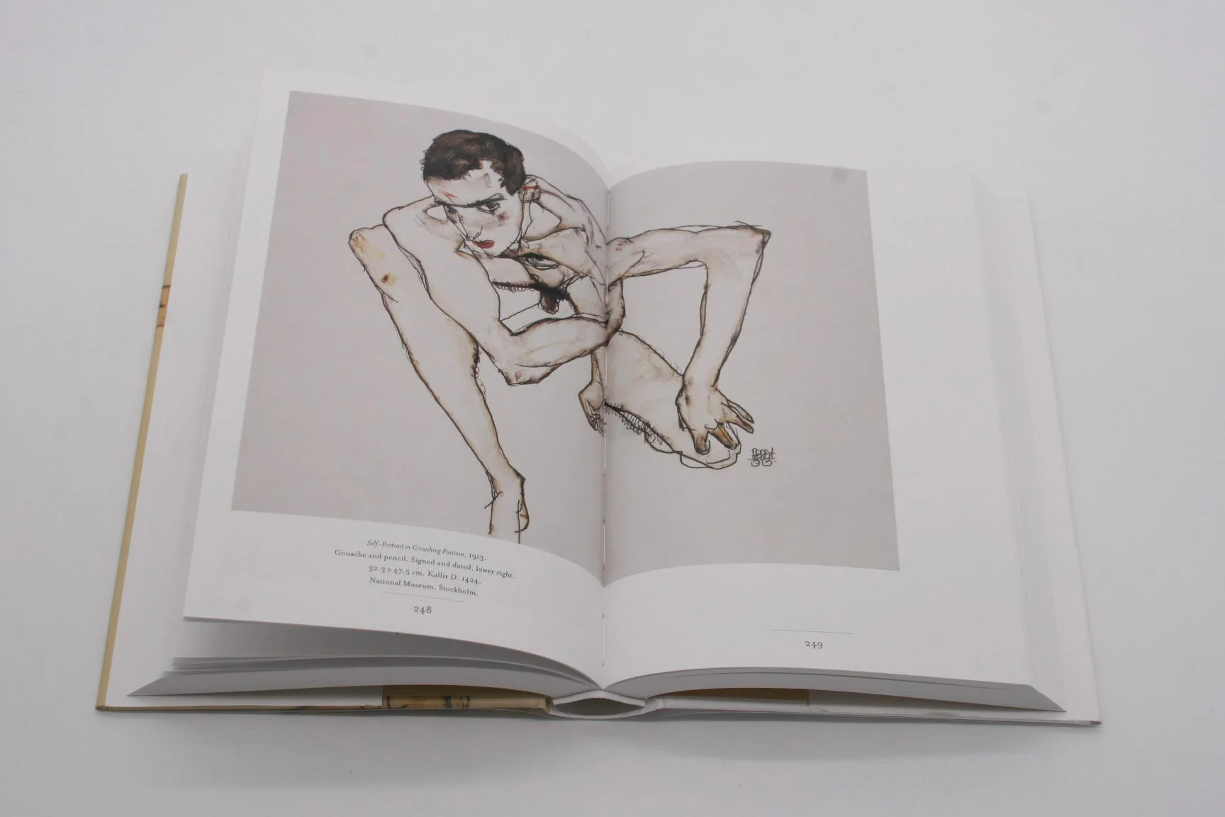 ספר אמנות | Egon Schiele: Drawings & Watercolours - Image 5
