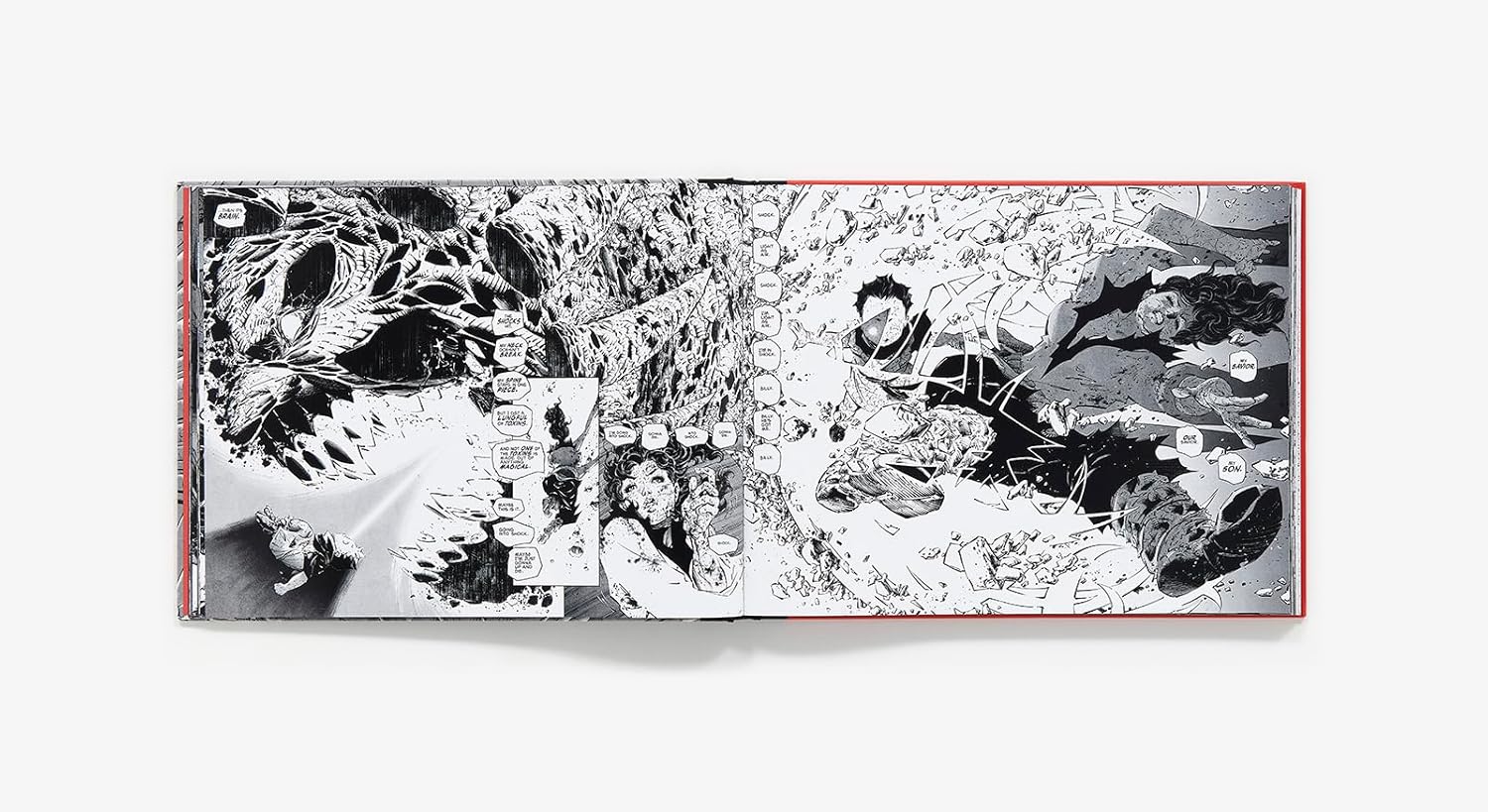 קומיקס | Frank Miller's Ronin Rising Collector's Edition - Image 2
