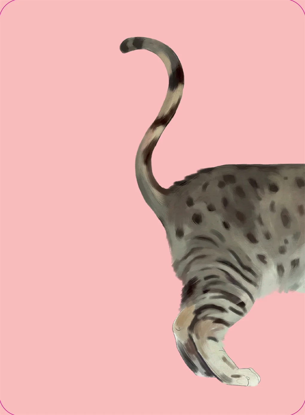 משחק זיכרון | Heads & Tails: Cats - Image 4