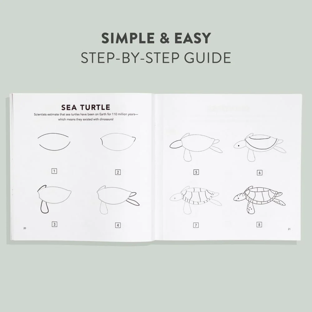 ספר ילדים | How To Draw Under The Sea - Image 4