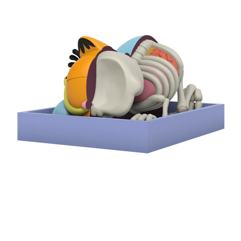 Hidden Dissectibles: Garfield by Jason Freeny | בליינדבוקס - Image 4