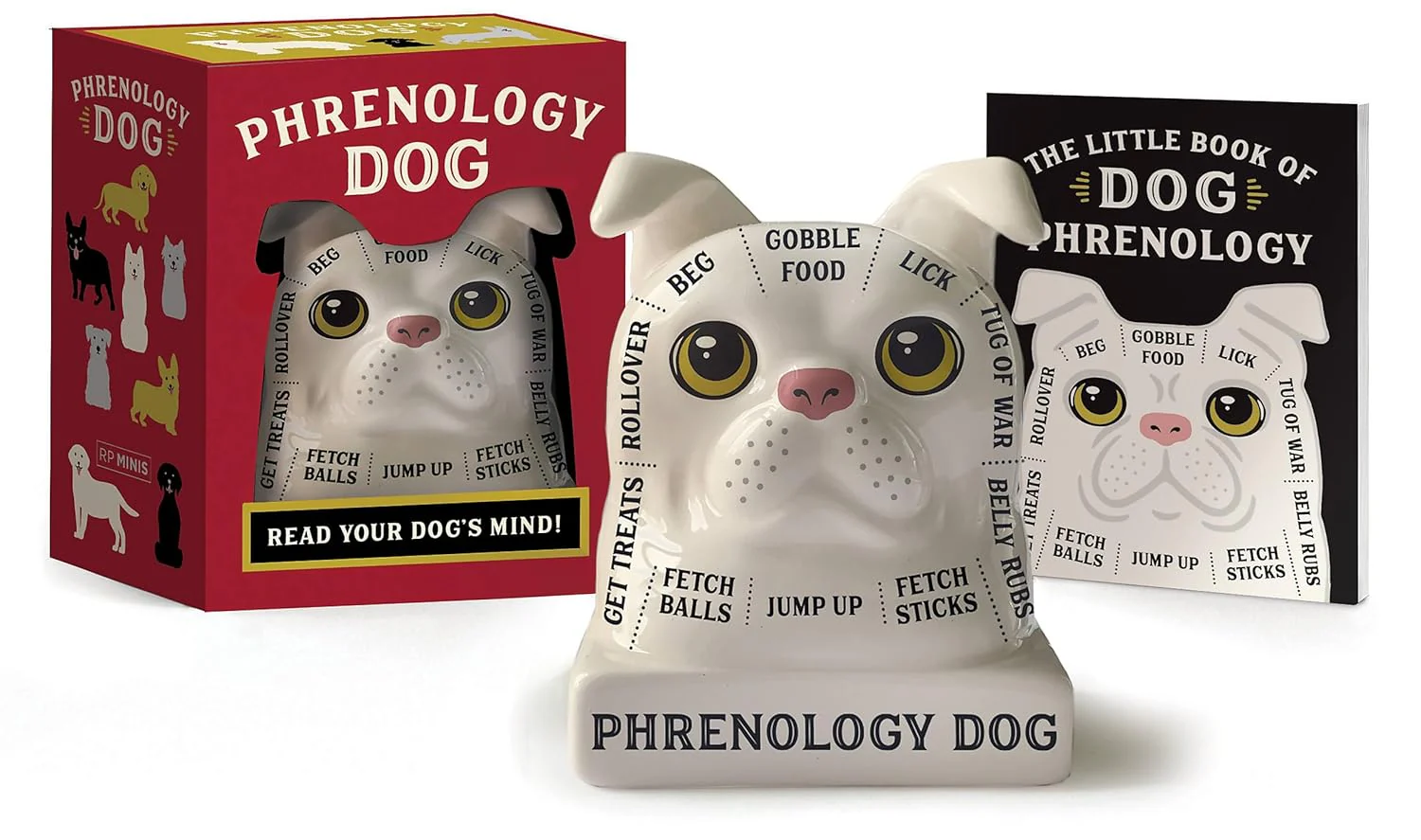 Phrenology Dog | Read Your Dog's Mind