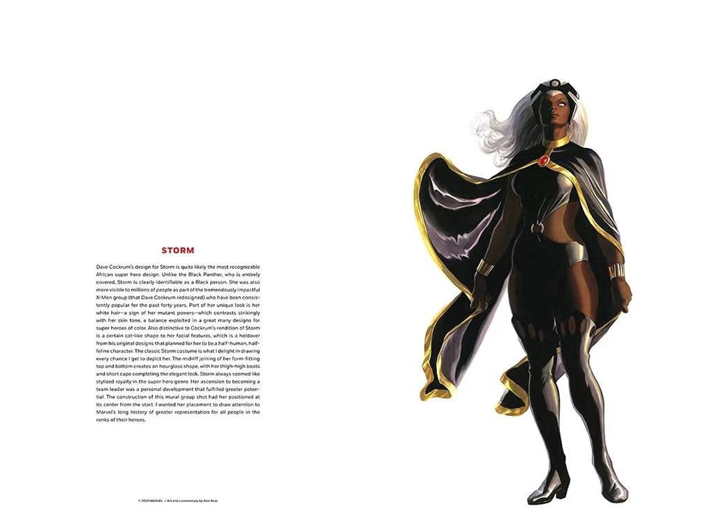 ספר פוסטרים | The Alex Ross Marvel Comics Poster Book - Image 3