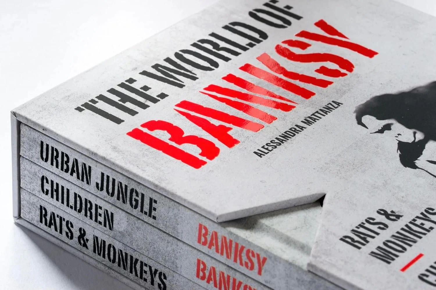 ספר אמנות | The World of Banksy - Image 4