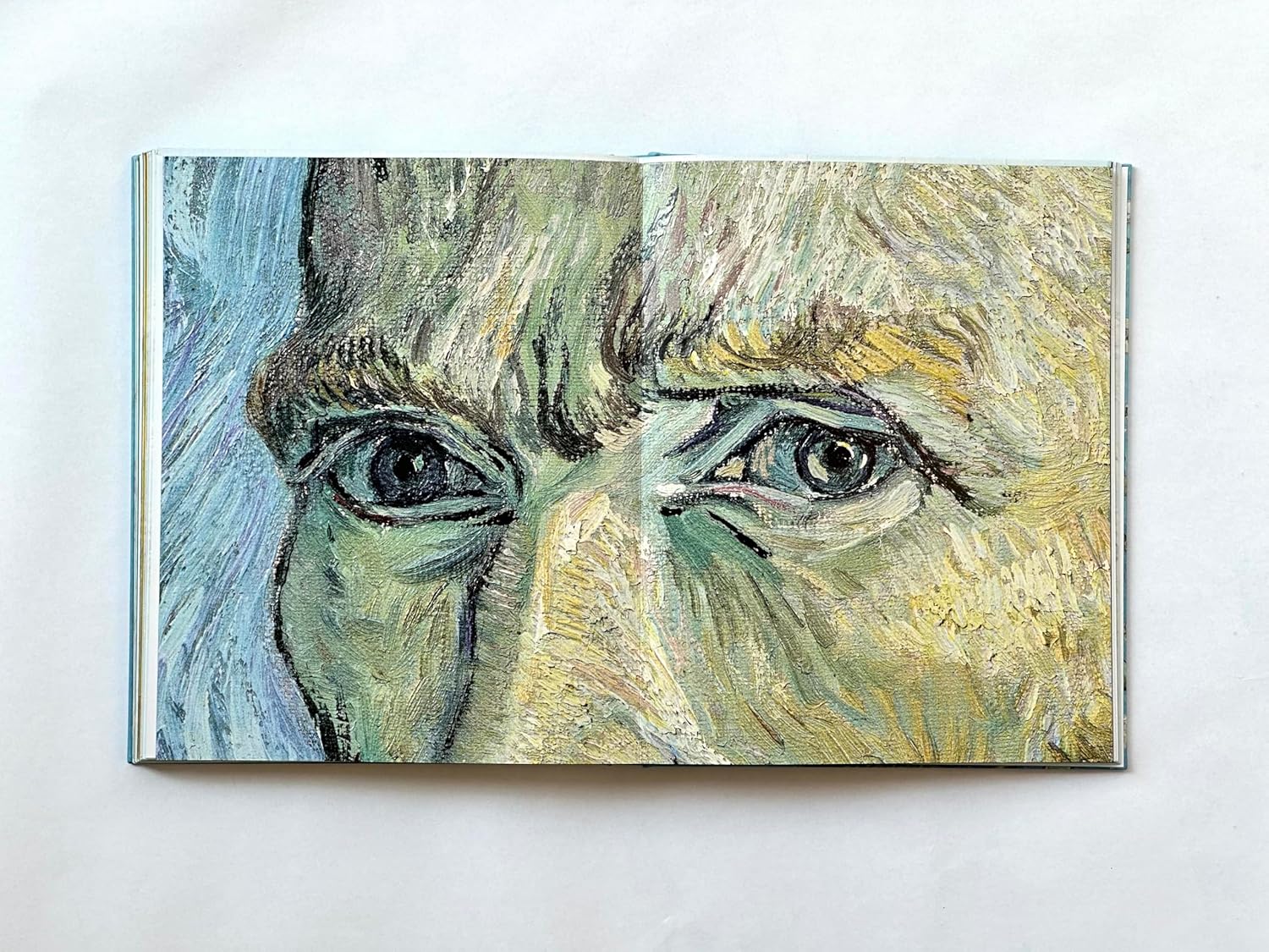 ספר אמנות | Van Gogh: The Bigger Picture - Image 5