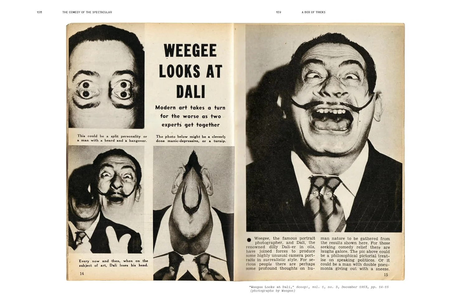 אמנות | Weegee: Society of the Spectacle - Image 2