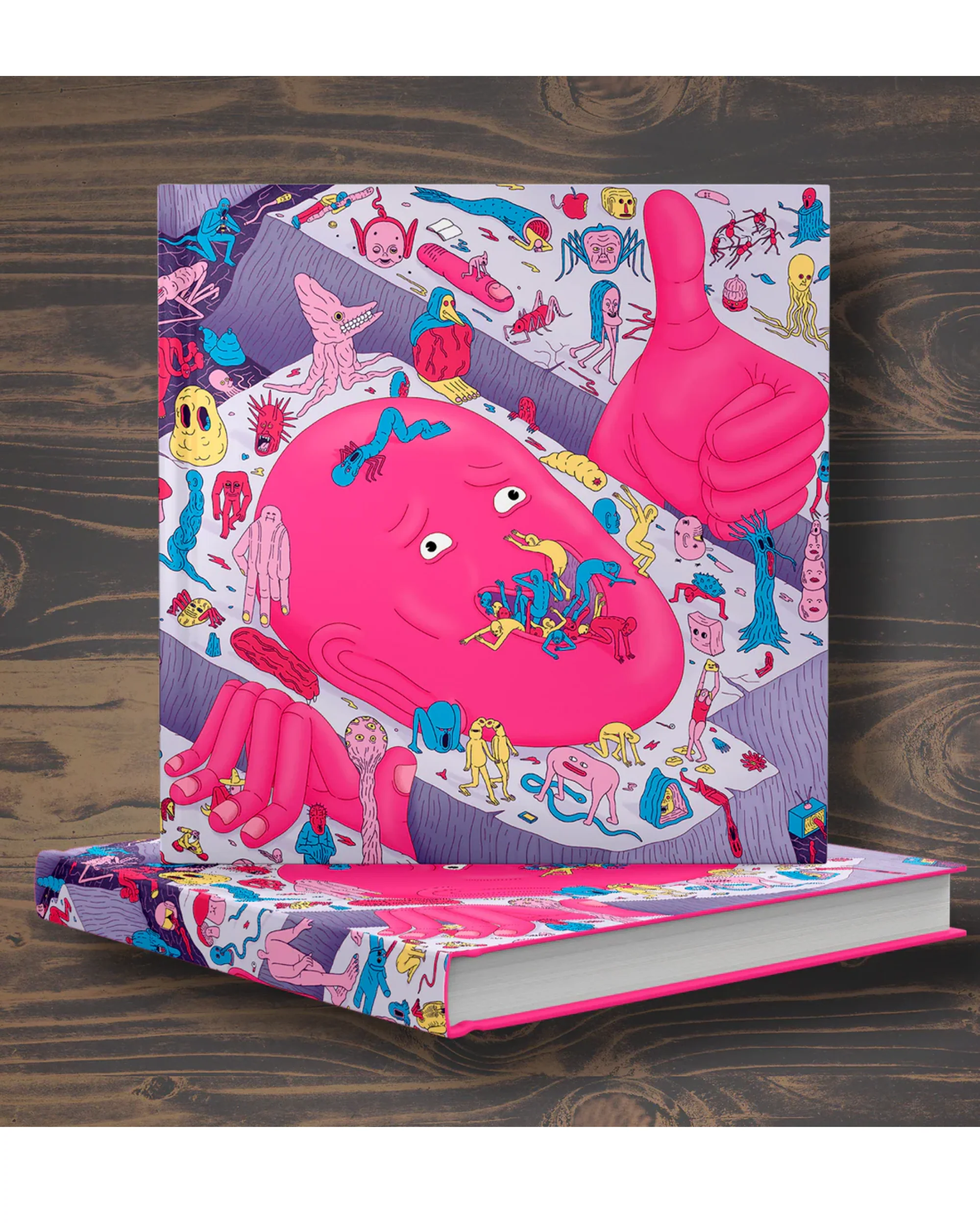 ספר אמנות | Whatever Where And Why - Limited Edition - Image 2