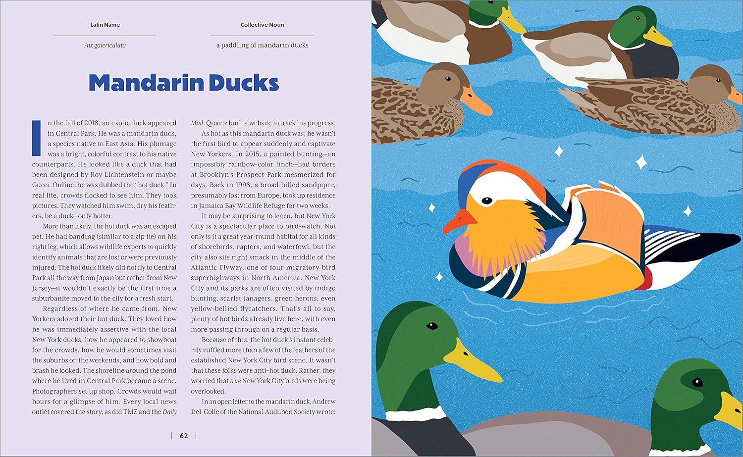 Wild City | A Brief History of New York City in 40 Animals - Image 6